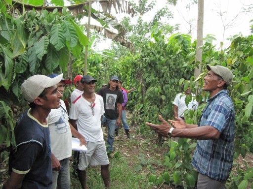 Curso de Formação em Agroecologia. MST Pará - IFPA Castanhal. Foto: Alan Tygel