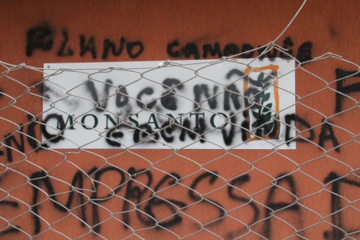 MPA ocupa Monsanto