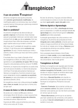 panfleto-pagina1