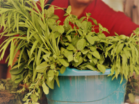 24313287_951300345033464_2384611901592421920_o_951300345033464