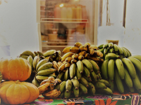 24313358_951299838366848_1321266602359113247_o_951299838366848