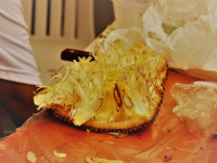 24799232_951300425033456_6804807139674176727_o_951300425033456