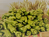 24799568_951299888366843_5616241871949211386_o_951299888366843