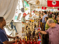 24831084_951435475019951_8527246549145095226_o_951435475019951