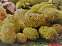 24831399_951300155033483_1713435686102572736_o_951300155033483