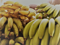 24831502_951300025033496_7574790271419823873_o_951300025033496