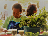 24837356_951299775033521_2770830885591564566_o_951299775033521