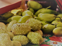 24837460_951300328366799_9090102245050883193_o_951300328366799