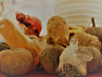 24879814_951300188366813_47446561096360191_o_951300188366813