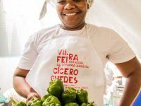 24879959_951435491686616_6624577947018270193_o_951435491686616