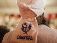 24959130_952278094935689_923808534738623739_o_952278094935689