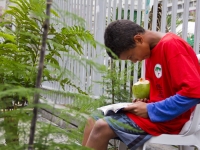 5Âª Feira Estadual da Reforma AgrÃ¡ria CÃ­cero Guedes. Largo da Carioca, Centro, RJ, 25/07/2014