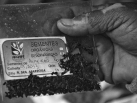 5Âª Feira Estadual da Reforma AgrÃ¡ria CÃ­cero Guedes. Largo da Carioca, Centro, RJ, 25/07/2014