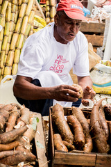 VII Feira da Reforma Agraria_Formato Web_Pablo Vergara -10