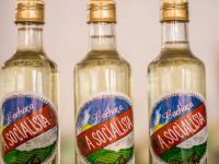 12304108_562168463946656_9031587152037326138_o_562168463946656