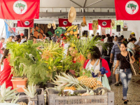 12339399_562164117280424_5691015397710267799_o_562164117280424